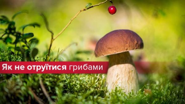 Кременецьке районне управління Головного управління Держпродспоживслужби в Тернопільській області про профілактику отруєнь грибами