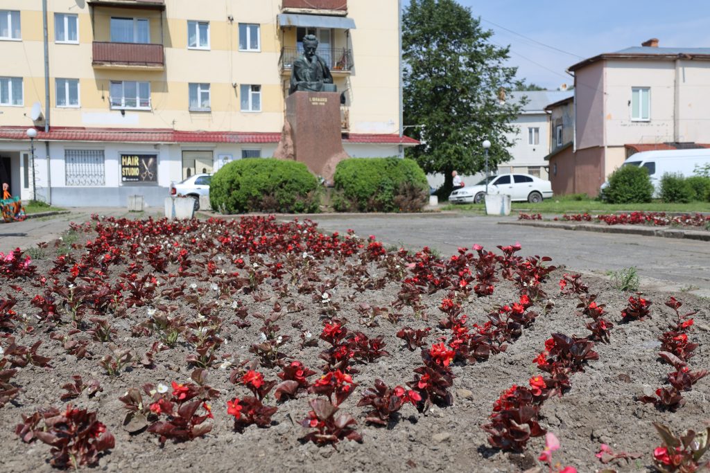 Висаджені квіти